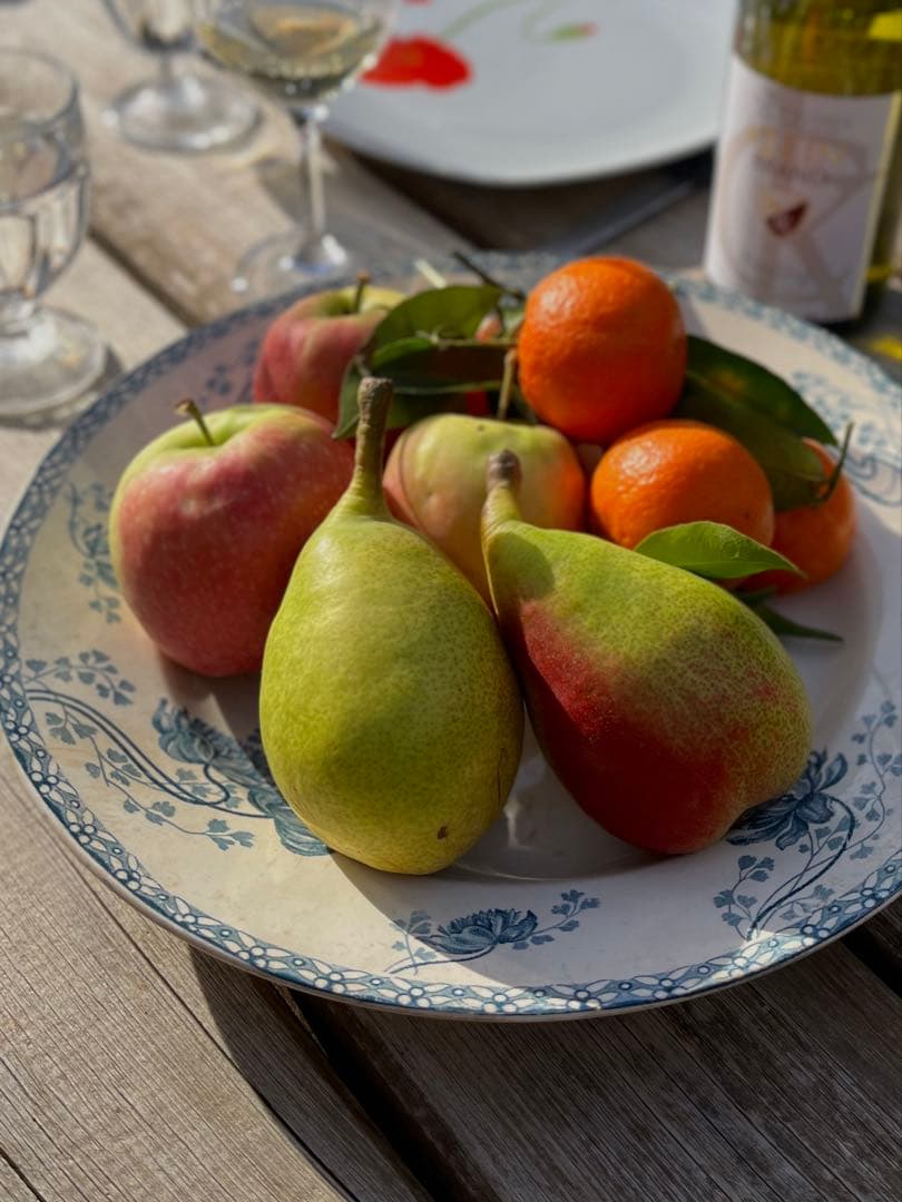 ◆フランスアンティーク｜残1希少大皿100年前サングミンヌプレート30cm花刻印