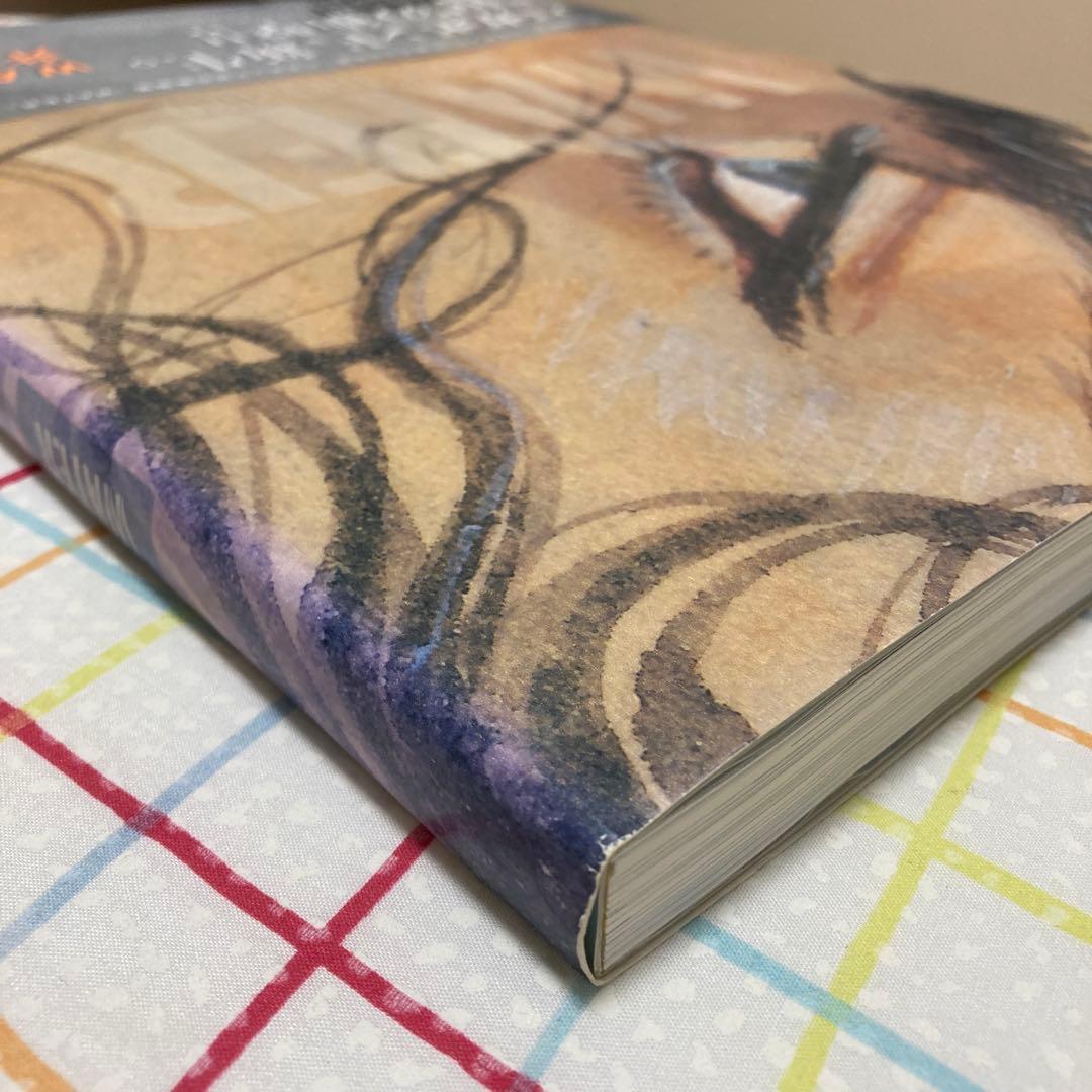 WATER 井上雄彦　バガボンド画集　帯付き講談社