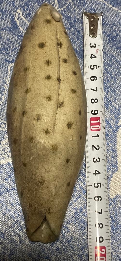 ジャンク品 詳細不明 鳥の置物 陶器