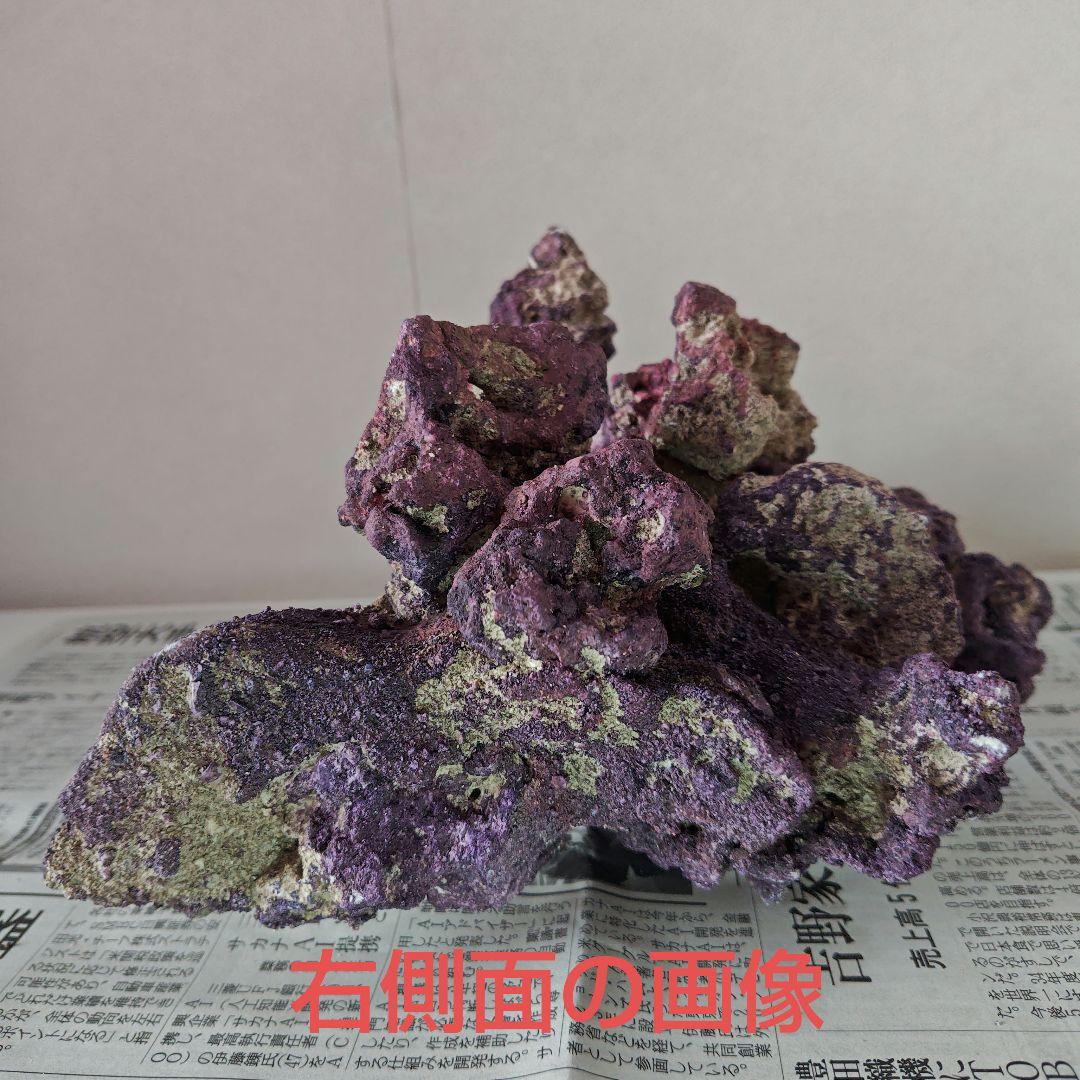 カリブシーライフロックのアーチ型　１個になります！　(人工ライブロック)