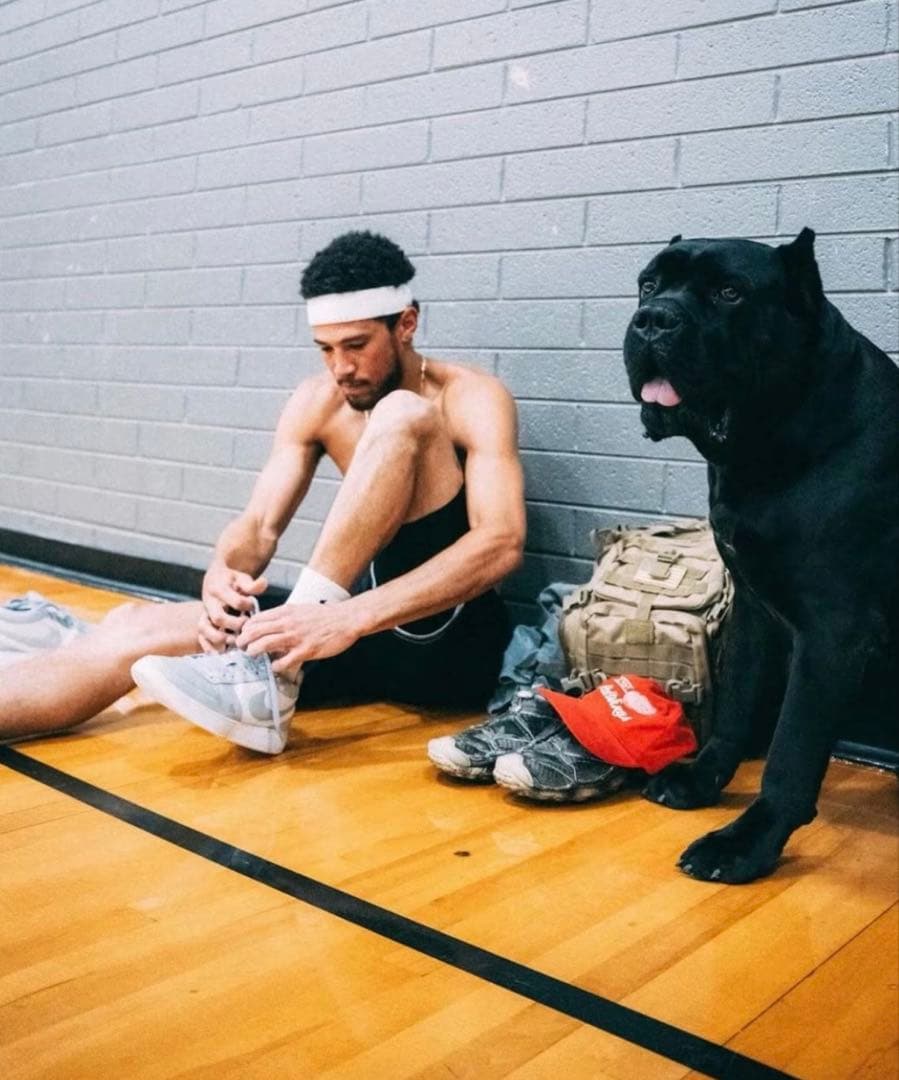 日本未発売 Nike Book 1 EP NBA バッシュ ブック 27CM