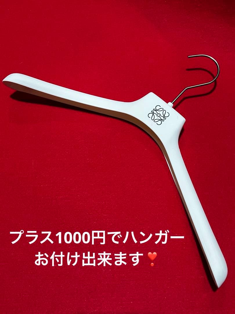 ロエベ　アナグラム衣装カバー　ガーメント×2