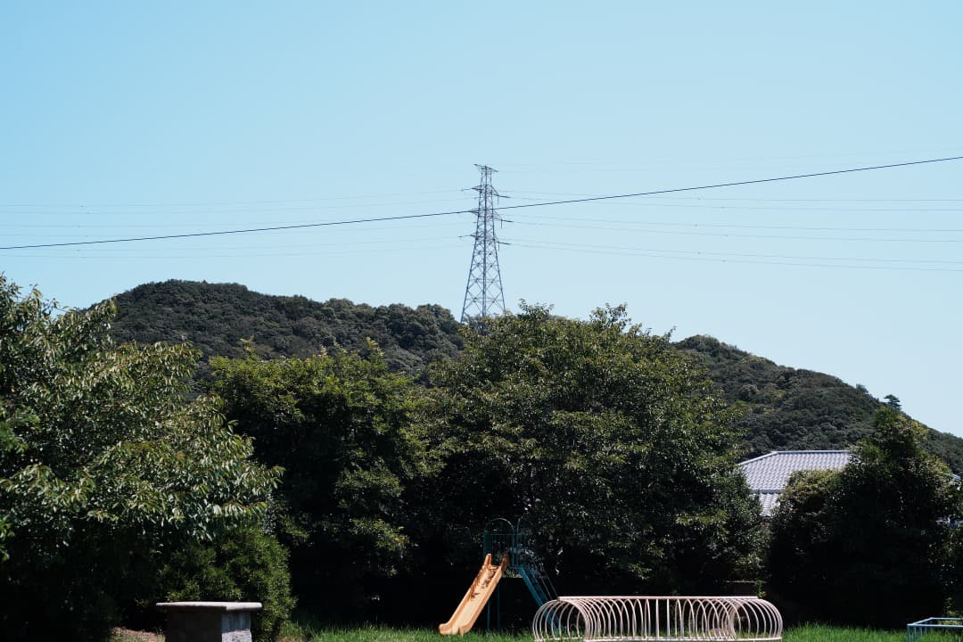 整＆テ Nikon Ai-s Micro-Nikkor 55mm F2.8 05