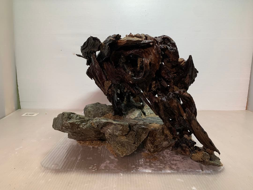 TTD 【ぎん様⭐︎】【美品・数量限定】